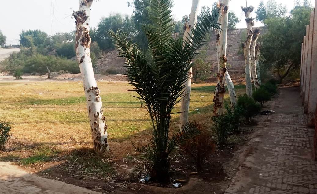 A Beautiful View of Directorate of Hajj, Multan